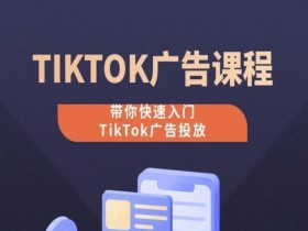 TikTok广告投放课程：0基础入门到精通，手把手教你玩转TikTok广告-54创业网