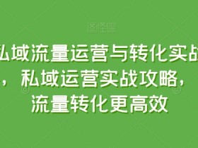 私域流量运营实战课：高效转化技巧与私域运营攻略-54创业网
