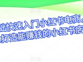 小红书电商零基础教程：从0到1快速开店赚钱攻略-54创业网