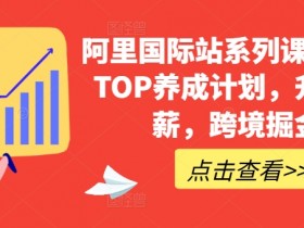 阿里国际站运营TOP课：跨境掘金升职加薪，新手变大神攻略-54创业网