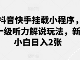新手小白0粉抖音快手挂载小程序：中文十级听力解说，日入200+玩法-54创业网