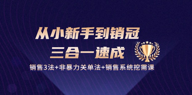 销售3法速成课：非暴力关单+系统挖需，从小白到销冠的27节三合一实战课-54创业网