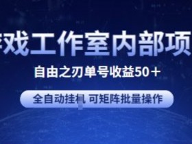 自由之刃2单号收益50+：游戏工作室全自动项目揭秘，支持矩阵批量操作-54创业网
