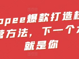Shopee爆款打造：5大核心运营方法助你快速成为大卖-54创业网