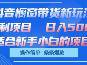 抖音橱窗带货赚钱攻略：单日收益破千，3步打造爆款玩法-54创业网
