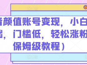 抖音颜值账号变现：0基础小白轻松涨粉保姆级教程，低门槛赚钱秘籍大公开-54创业网