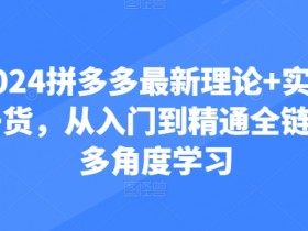 2024拼多多运营教程：零基础入门到精通，最新实操干货全解析-54创业网