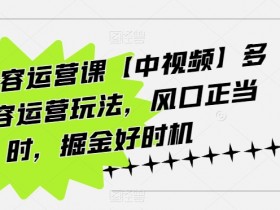 海外内容运营课：中视频运营玩法大全，抓住风口轻松掘金-54创业网