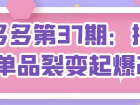 拼多多单品裂变起爆2.0实操：第37期爆款打造秘籍-54创业网