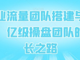 亿级操盘团队成长：企业流量团队搭建与管理实战指南-54创业网