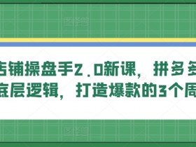 拼多多卖货底层逻辑：多多店铺操盘手2.0新课，爆款打造的3个周期秘籍-54创业网