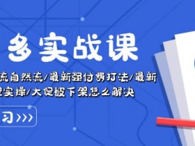 拼多多万人团玩法实战课：截流自然流量+强付费打法+原价卡大促技巧-54创业网