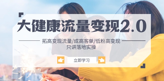 大健康流量变现2.0实战：高客单低粉变现秘籍 拓流量稳赚钱落地干货-54创业网