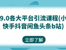 9.0小红书快手抖音闲鱼头条B站引流课程：最新全平台涨粉变现秘籍-54创业网