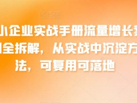 中小企业流量增长实战手册：10个可落地案例拆解，快速提升业绩-54创业网