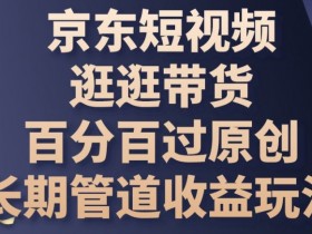京东短视频带货原创100%过审技巧：长期稳定收益玩法大揭秘-54创业网