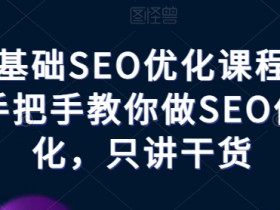 零基础SEO优化课程：手把手教你实战技巧，快速掌握SEO干货-54创业网