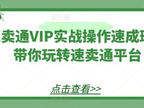 速卖通VIP实战速成班：3天玩转速卖通爆单技巧-54创业网