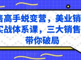 美业销售高手实战课：3大销售体系蜕变营，业绩破局秘籍-54创业网