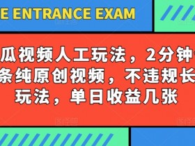 西瓜视频原创写字玩法：2分钟制作长期收益，单日多张不违规-54创业网