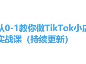 0基础TikTok小店实操课：手把手教学，轻松开店赚钱（持续更新）-54创业网