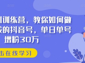 抖音赚钱秘籍：30万粉丝速成班，单日单号爆粉实战训练营-54创业网