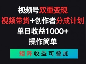 视频号双重变现：视频带货+创作者分成计划，简单操作叠加矩阵收益-54创业网