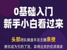 2024年新媒体流量变现秘籍：3步教你引流带货成为爆单商家-54创业网