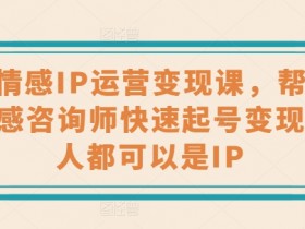 心理情感咨询师变现课：婚恋情感IP运营指南，快速起号赚钱秘籍-54创业网