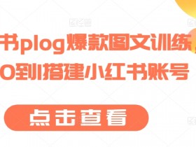 小红书账号运营教程：0基础学会爆款plog图文制作，快速涨粉技巧-54创业网