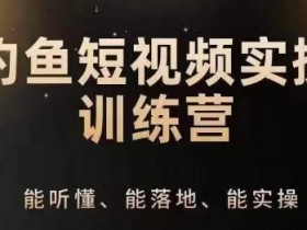 0基础钓鱼短视频运营：系统教学IP定位策划与实操技巧-54创业网