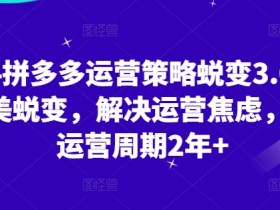 2024拼多多运营策略3.0：0-1快速起店秘诀，解决焦虑省2年运营周期-54创业网