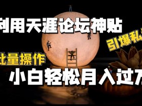天涯论坛神贴赚钱秘籍：私域引流批量操作，新手轻松月入过万实战教程-54创业网