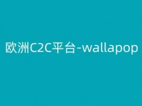 欧洲Wallapop跨境电商C2C教程：Kim教你玩转二手交易平台-54创业网