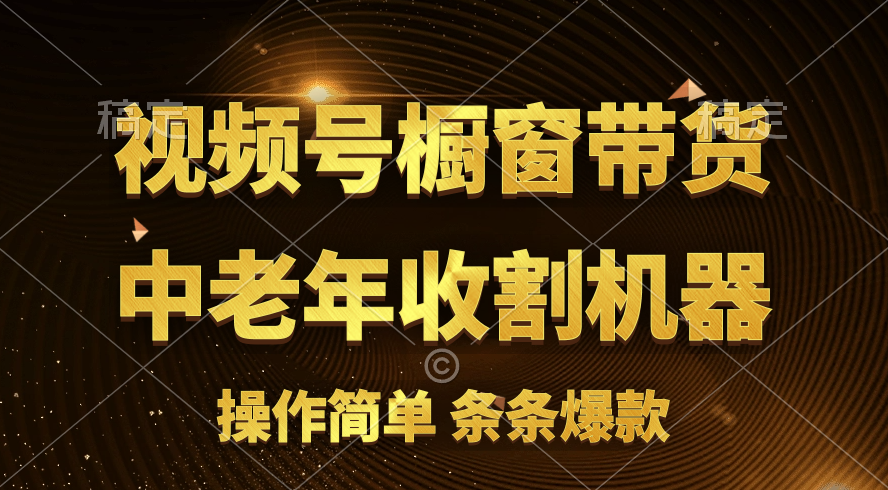 孩子如何快速成功？视频号带货+流量分成最火赛道揭秘-54创业网