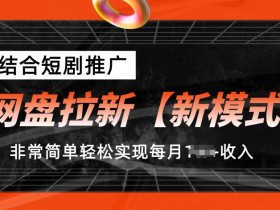 短剧推广+网盘拉新新模式：轻松月入1w+的实操秘籍-54创业网
