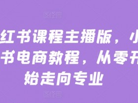 小红书电商教程：零基础入门到专业主播实战课-54创业网