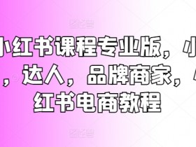 小红书电商教程：小白达人品牌商家必备的专业版课程-54创业网