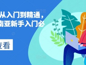 Lazada新手入门必修课：跨境东南亚电商从入门到精通-54创业网
