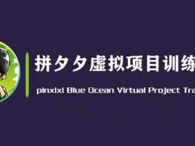 拼夕夕虚拟变现3.0：黄岛主蓝海项目，单天利润50-500+轻松赚-54创业网