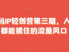宝妈IP轻创营：0基础抓住流量红利，第三期火爆招募中-54创业网