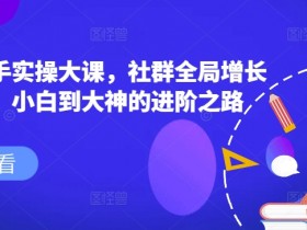 社群操盘手培训：从0到1掌握社群增长变现全流程，小白进阶大神-54创业网