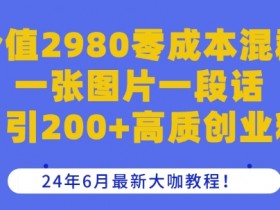 零成本混群日引200+创业粉：2980元大咖教程揭秘（24年6月最新）-54创业网