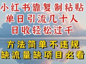 小红书引流秘籍：复制粘贴日赚千元，简单安全不违规！-54创业网