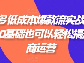 拼多多电商运营实战：0基础低成本打造爆款技巧，轻松玩转拼多多-54创业网