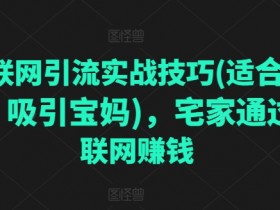 微商宝妈必学：宅家互联网引流赚钱实战技巧-54创业网