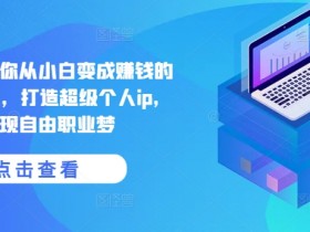 创业博主教程：手把手教你从0赚钱打造个人IP，实现自由职业-54创业网