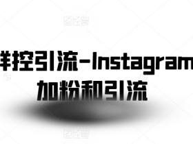 Instagram批量加粉技巧：社交群控引流实战攻略-54创业网