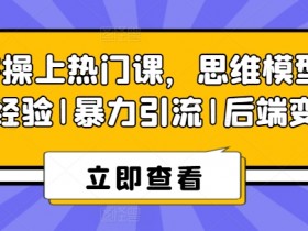 8S实操上热门课：思维模型+实战经验+暴力引流+后端变现技巧-54创业网