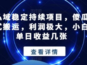 小白也能日赚几张：揭秘私域搬运暴利项目，稳定持续躺赚-54创业网